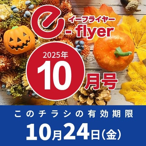 「イーフライヤー／e-flyer」おしぼりと一緒に低価格・小ロットで商品をお届けしています。