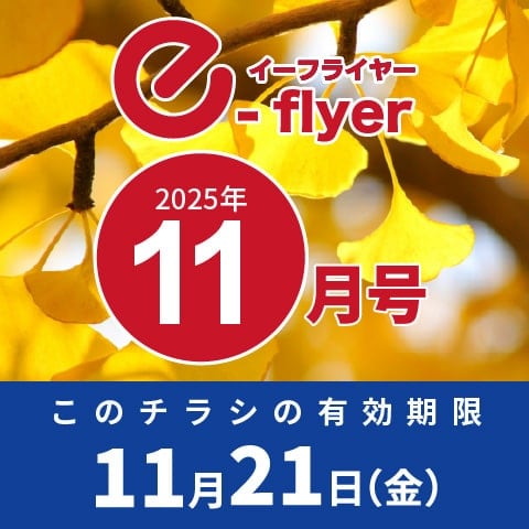 「イーフライヤー／e-flyer」おしぼりと一緒に低価格・小ロットで商品をお届けしています。