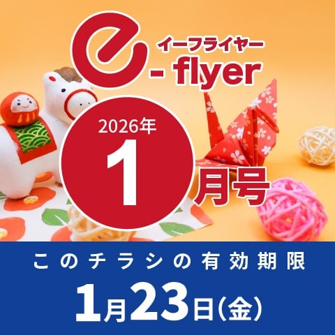「イーフライヤー／e-flyer」おしぼりと一緒に低価格・小ロットで商品をお届けしています。