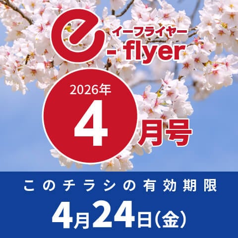 「イーフライヤー／e-flyer」おしぼりと一緒に低価格・小ロットで商品をお届けしています。