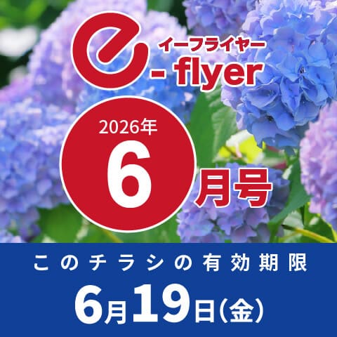 「イーフライヤー／e-flyer」おしぼりと一緒に低価格・小ロットで商品をお届けしています。