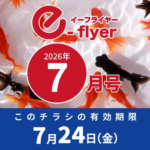 「イーフライヤー／e-flyer」おしぼりと一緒に低価格・小ロットで商品をお届けしています。