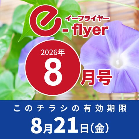 「イーフライヤー／e-flyer」おしぼりと一緒に低価格・小ロットで商品をお届けしています。