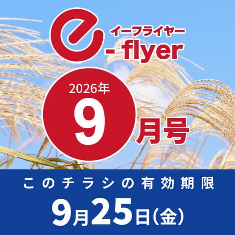 「イーフライヤー／e-flyer」おしぼりと一緒に低価格・小ロットで商品をお届けしています。