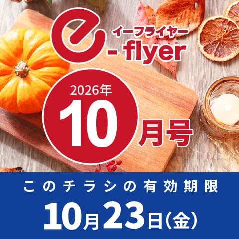 「イーフライヤー／e-flyer」おしぼりと一緒に低価格・小ロットで商品をお届けしています。