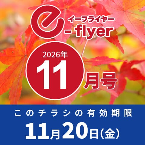 「イーフライヤー／e-flyer」おしぼりと一緒に低価格・小ロットで商品をお届けしています。