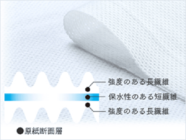 原紙断面図